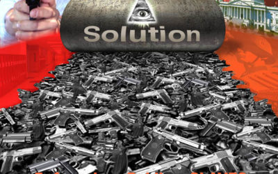 EMERGENCY WARNING – Attempt At Gun Confiscation