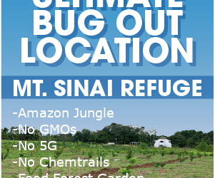 MT. SINAI REFUGE  2 Acres With EPS / Concrete Dome Home Starting at $29,700 – Bug Out Of The USA