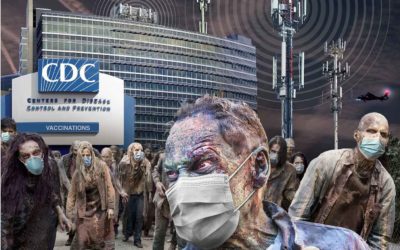 Zombie Apocalypse | Certificate Of Vaccination ID or Self Determination, Your Choice!