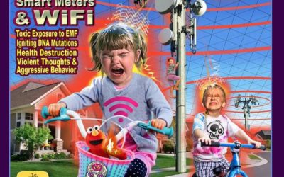 5G & WiFi Radiation and How To Defend Against It Using Micronutrients Created For The US Military
