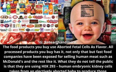Human Fetal Tissue Used As A Flavor Enhancer Has Been Found In The Following Brands