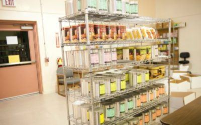 LDS – Home Storage Centers – Food Storage Done Right