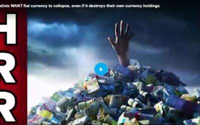 Pay Close Attention To This, Why globalists WANT fiat currency to collapse, even if it destroys their own currency holdings.