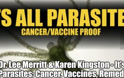It Is All Parasites According Dr.  Lee Merit Including Cancers
