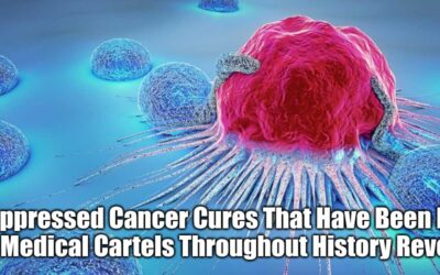 The Suppressed Cancer Therapies Which Have Been Denied by the Medical Cartels Throughout History Revealed (Video)