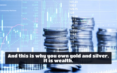 LISTEN! “Their Secret Plan For Gold & Silver Has Been Leaked!”- Andy Schectman
