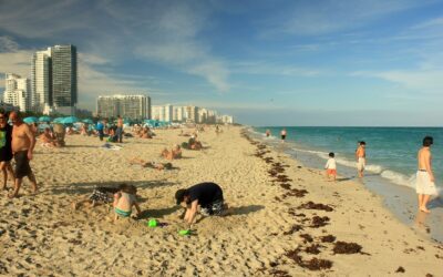 Miami Beach has Sold Out to The Social Credit Surveillance System