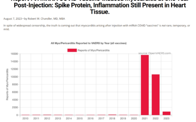 Pfizer Report 79: mRNA COVID Vaccine-Induced Myocarditis at One Year Post-Injection: Spike Protein, Inflammation Still Present in Heart Tissue.