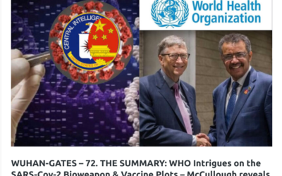 Vaccine Safety Research Foundation – Exposing The Bill Gates and WHO’s SARS-Cov-2 Bioweapon & Kill Shot Plot