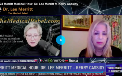 KERRY INTERVIEWED BY DR. LEE MERRITT: THE ETS IN THE BACKGROUND