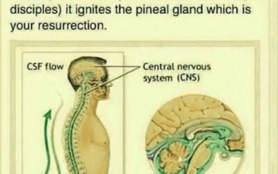 The New Testament Explained. Sorry Israel You Were Replaced By Jesus.