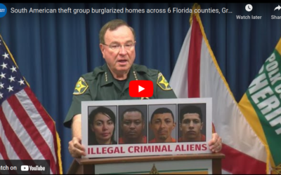 South American theft group burglarized homes across 6 Florida counties, Grady Judd says