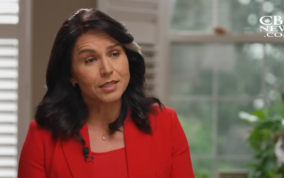 ‘How Dare You Humanize Him’: Tulsi Gabbard Reveals Dems ‘Twisted’ Reaction to Meeting With Trump