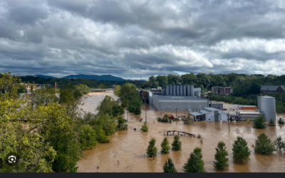 David DuByne shares disturbing news from North Carolina: It’s collapsing into a MAD MAX existence