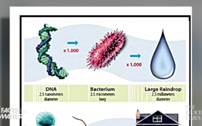 Nanotechnology Used in Over 2,000 Food Items Goes Unlabeled Due to Weird FDA Loophole | Facts Matter