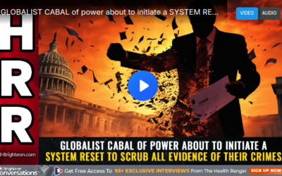 GLOBALIST CABAL of power about to initiate a SYSTEM RESET to scrub all evidence of their crime