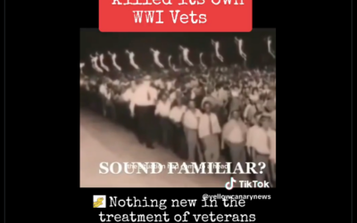 We were never taught about this in school The US Gov Killed Its Own WWI Vets