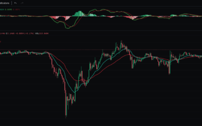 THIS IS MASSIVE – XRP/BITCOIN The Great Financial Reset…
