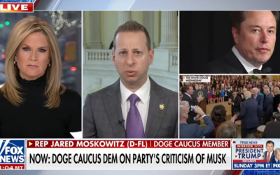 ‘MUSK DERANGEMENT SYNDROME’?: Dems howl about Elon Musk having too much power