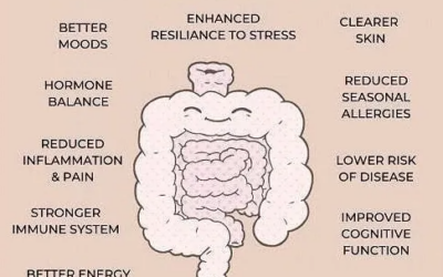 The Truth About Gut Health: Why It’s NOT Just About the Microbiome, According to Dr. Fuhrman