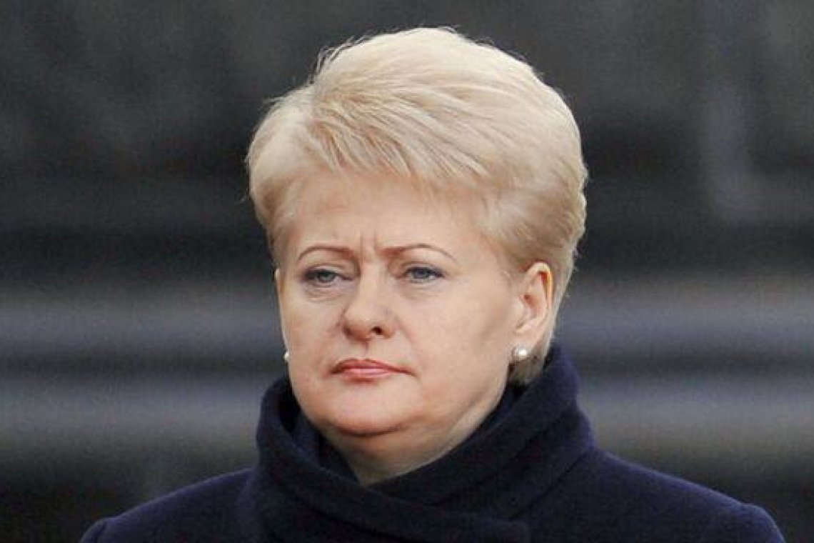 Former Insane Lithuania President Says, Nukes Outdated; no need to fear them. Lady You Need A Brain, Don’t Worry, They Are In The Pipeline.
