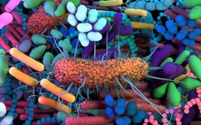 Gut Health, Methylene Blue, and Functional Medicine | Josh Axe EP 225