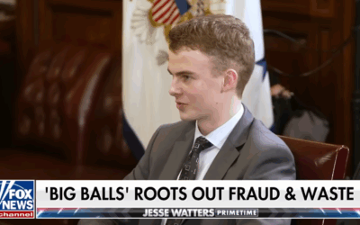 Elon Musk introduces DOGE team’s ‘Big Balls’