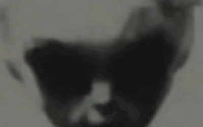 Project Serpo – Alien – US Scientist Swap Lasted 13 Years and You Know Nothing About It. What Else Don’t You Know?