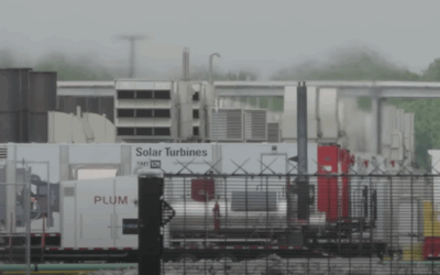 Another Thing That Makes Me Go, WTF – We Went to the Town Elon Musk Is Poisoning – And A Possible Reason, Not Excused.