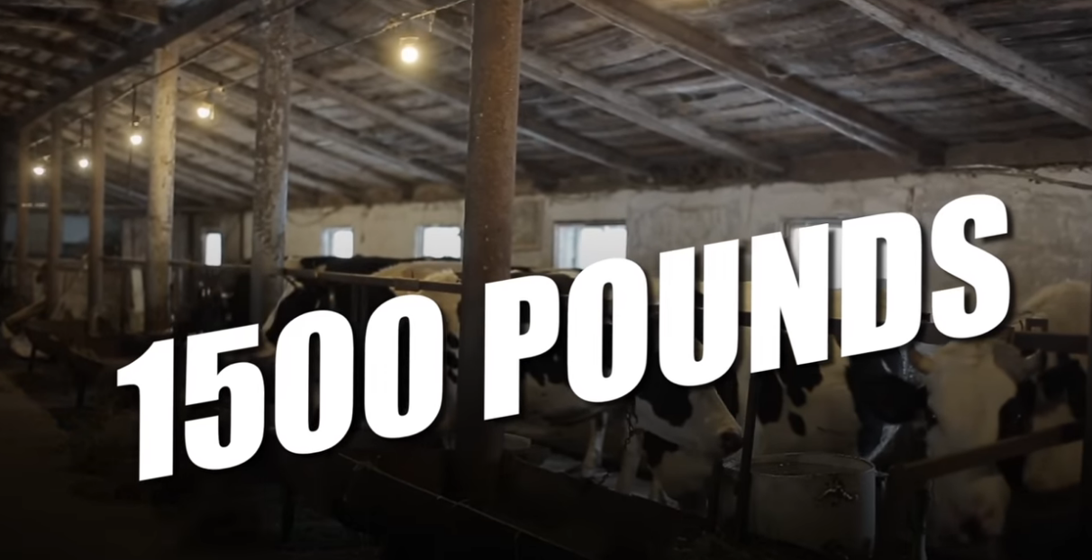 hardest Prison in the mind