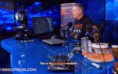 BIOSLUDGE under the microscope – see what comes to life!