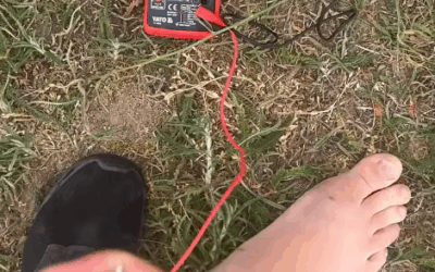 Something Interestin