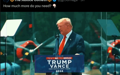 The Q Phenomenon, What Has Happened.