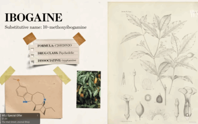 This Mysterious Drug Can Erase Addiction ‘Virtually Overnight’ | WSJ Ibogaine