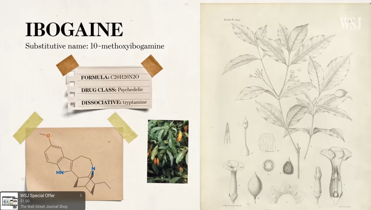 hardest Prison in the mind