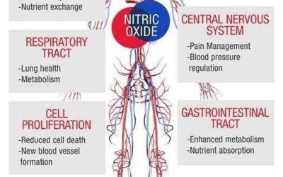 No.1 Nitric Oxide Expert: This is the anti-aging cure no one is talking about!