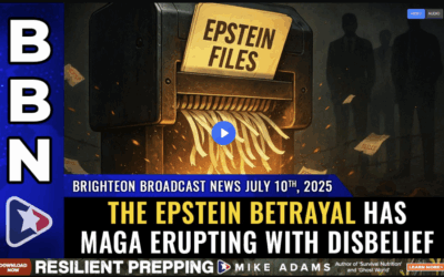 MEGA MAGA BACKLASH after Trump buries Epstein files, ending investigation into child trafficking network