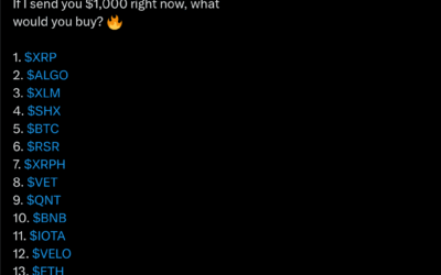 Which Crypto To Hold!