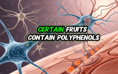 1 Daily Food That Rebuilds Muscle FAST (Backed by Neuroscience)