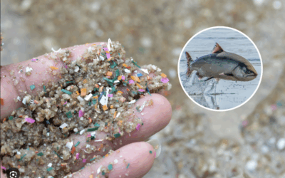 WAKE UP NOW! This is a health EMERGENCY in America