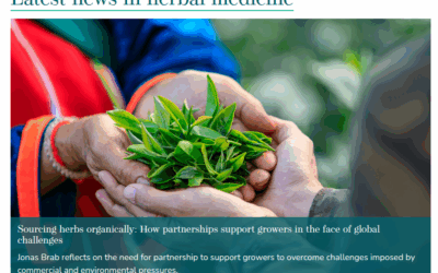 5 Natural Medicines Big Pharma Are Hiding From You! No.1 Herbal Medicine Expert