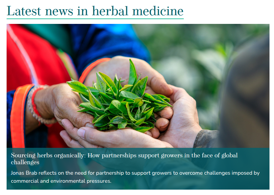 hardest Prison in the mind