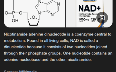 The Accidental Discovery That Could End Aging