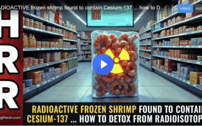 RADIOACTIVE frozen shrimp found to contain Cesium-137 … how to DETOX from radioisotopes