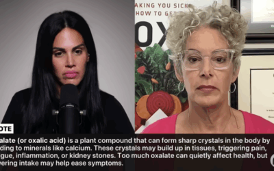 Fix Oxalate Dumping: 30 ‘Healthy’ Foods Making You Sick (Sally Norton)
