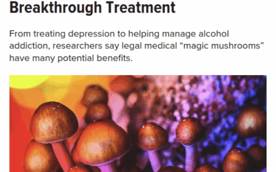 Psilocybin Rewired Our Brains!