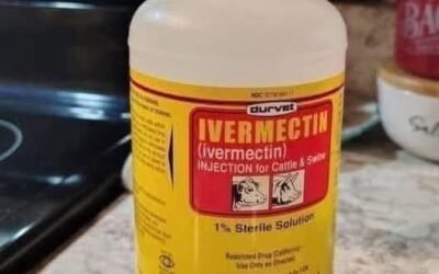 If you thought ivermectin was just a horse wormer