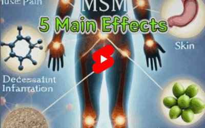 MSM – Good For Everything