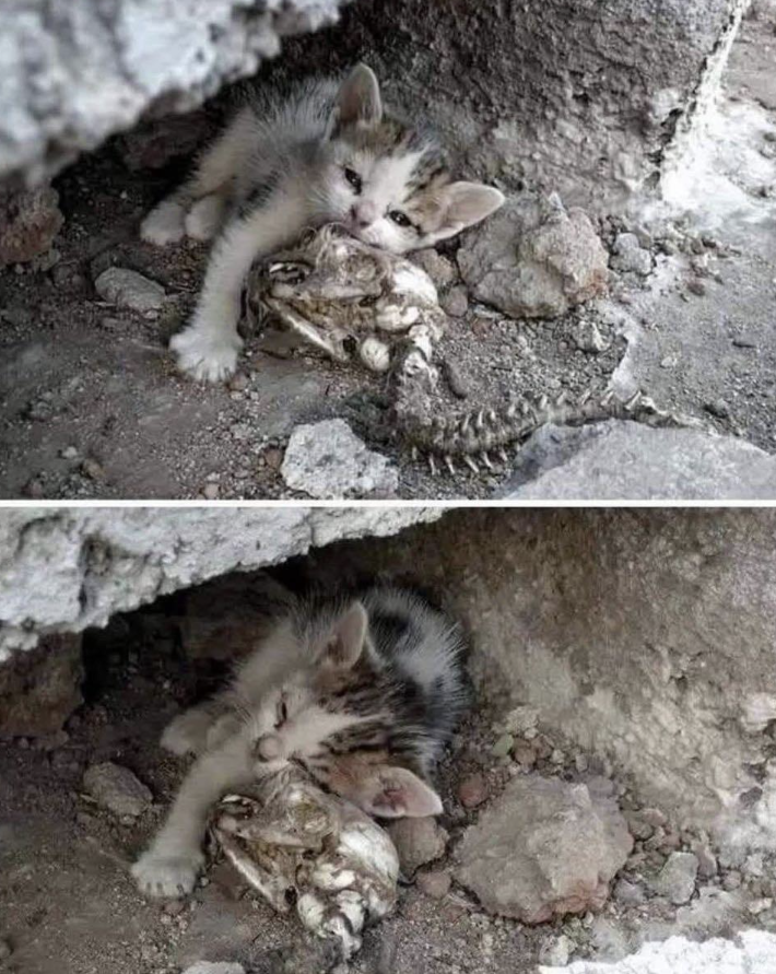 hardest Prison in the mind