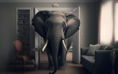 The Elephant In The Living Room, The Other Side Of The Coin, Red Flags